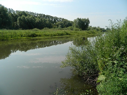 Елховое озеро ульяновская